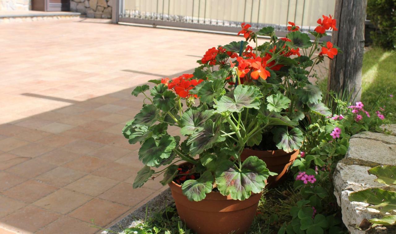 אג'רולה Villa Le Giare Ospitalita Diffusa מראה חיצוני תמונה